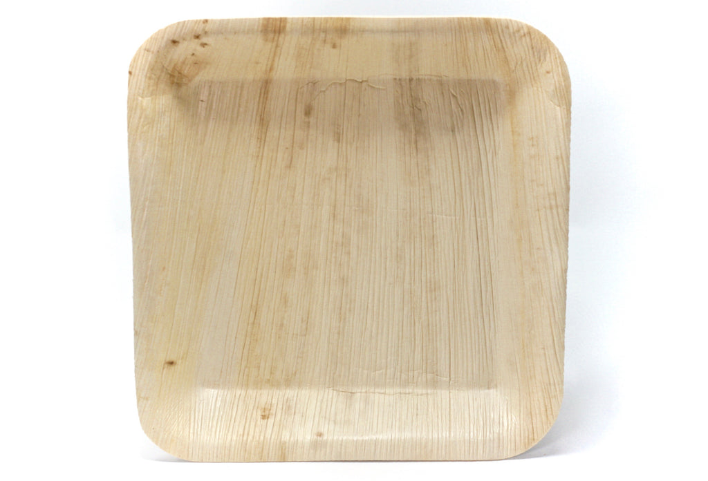 Square Palm Leaf Plate — 24cm